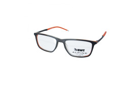 frame ALPINE F1 2202 BLVE