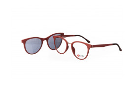 frame Bella BE-8180 C1