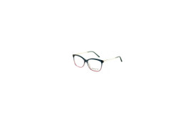 frame ENVY 6394 C2