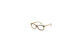 frame ENVY 6401 C4
