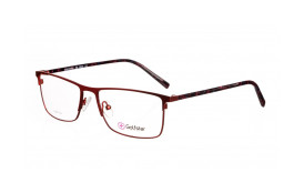 frame Golfstar GS4609 C3