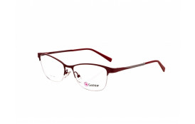 frame Golfstar GS4696 C2