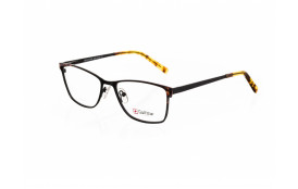 frame Golfstar GS4749 C2