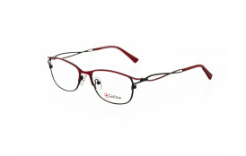 frame Golfstar GS4751 C3
