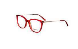 frame Golfstar GS4837 C3
