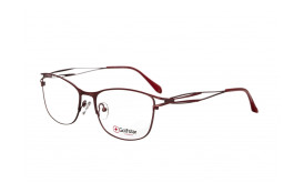 frame Golfstar GS4859 C3