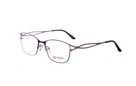 frame Golfstar GS4860 C1