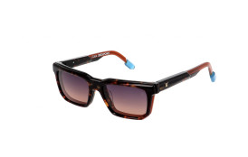 frame Icolor Bespoke V616 C154