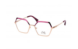 frame MIC AIARNOLA C3