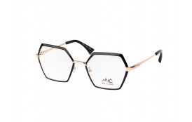 frame MIC AIARNOLA C3