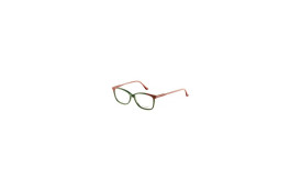 frame TAILOR MADE 15280 C5