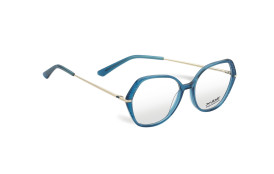 frame X-IDE DELACROIX C1