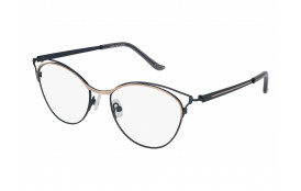 frame Ziggy 2034 C2