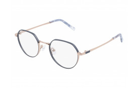 frame Ziggy 2044 C1