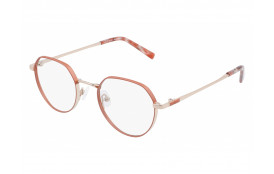 frame Ziggy 2044 C1